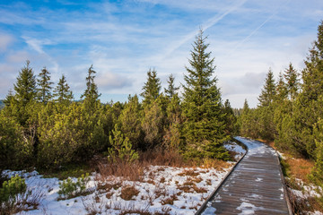 Fototapeta na wymiar Snowy path in Jezerní slať - peat bog near Kvilda in National Park of the Czech Bohemian forests, Czech Republic. 