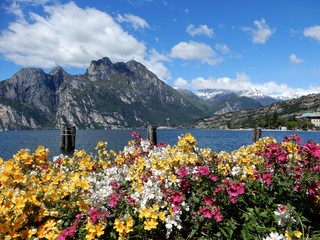 Lago di Garda con cielo azzurro Torbole sul Garda, Riva del Garda fiori colorati