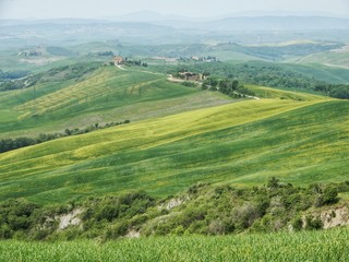 Campagna toscana, vista di Poppi in Casentino strada e campi contivati panorama