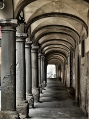 Campagna toscana, vista di Poppi in Casentino strada e campi contivati panorama