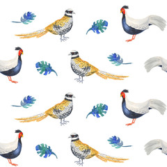 Watercolor seamless pattern - sketch of colorful pheasant. Original white background.  For decoration and design.