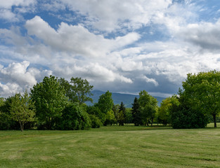 Fototapeta na wymiar Landscape with trees, blue sky and mountain 