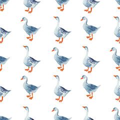 Poultry seamless pattern: Watercolor cartoon gooses isolated on white background.