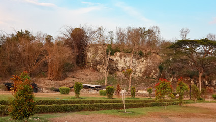 beautiful garden views in the afternoon