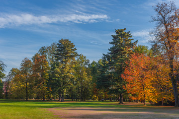 Fototapeta premium Kolorowe i żywe kolory jesieni i błękitne niebo w parku