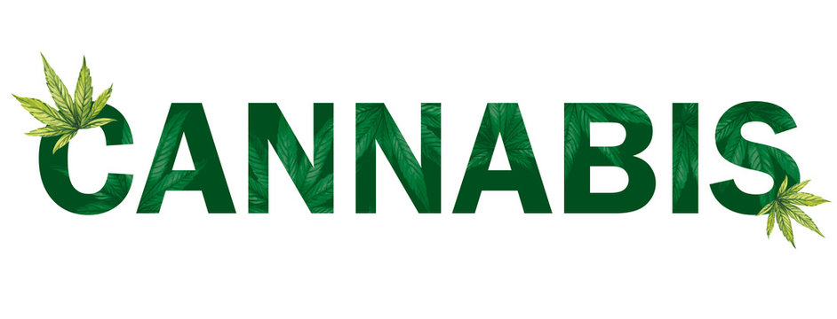 The word cannabis on a white background. Banner with texture and cannabis leaves.