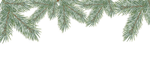 Christmas tree branch. Frame for New Year greeting cards and web sites.   illustration.