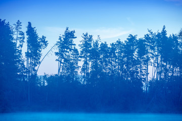 Magical sunrise over the lake. Pine trees on the lake. Calm lake in the early morning. Natural landscape