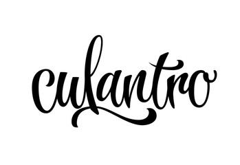 Hand drawn spice label - Culantro. Vector lettering design element. Isolated calligraphy script style word for labels, shop design, cafe decore etc