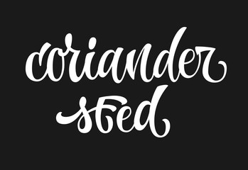 Coriander seed - white colored hand drawn spice label. Isolated calligraphy scrypt stile word. Vector lettering design element.