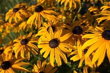 Sandsfoot Castle in Dorset