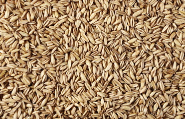 Oats grain peel background and texture, top view