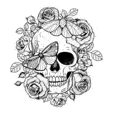 Skull and butterflies hand drawn sketch illustration. Tattoo vintage print. Butterfly, roses and skull vector illustration. Sketch print