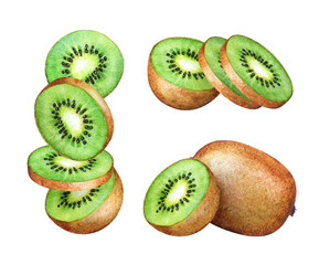 Fototapeta premium Collection of watercolor kiwi fruits and slices