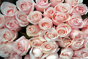 bouquet of natural pink roses