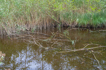 Obraz premium Mélisey, France - 09 11 2019: The Baverey barns. From Noie Vallerand to Grand Rosbeck