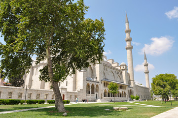 Fototapeta na wymiar One of Istanbuls Mosque's set in a green park with blue skies and trees waving in the wind.