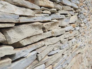 Laying. Wall. Natural stone. Crimean gerbil.