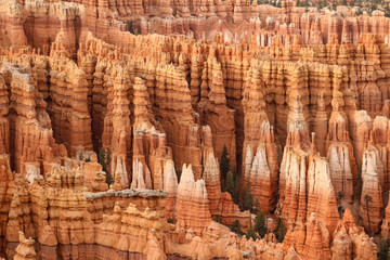 hoodoos in bryce canyon national park