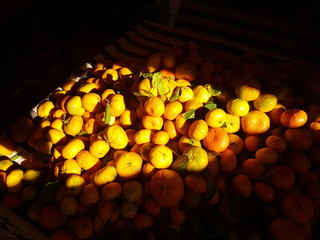 A pile of orange tangerines in an eastern street bazaar in hard sun light.