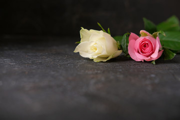 White and pink roses on a dark concrete background.