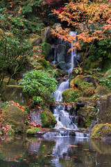 Japanese Garden Falls