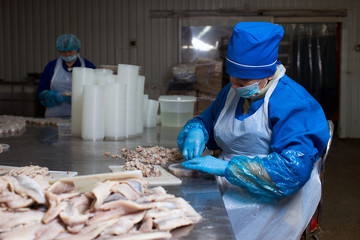 Ukraine, Zhitomir, fish processing in the factory, December 26, 2016