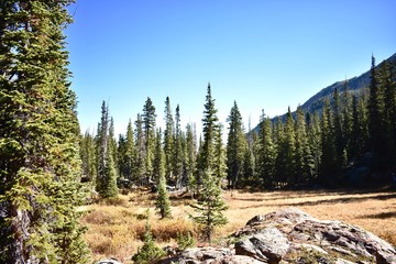 Obraz premium Alpine meadows amongst the rugged peaks of the Gore Range.