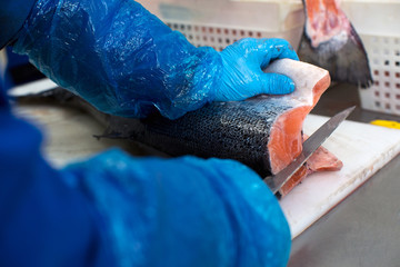 fish factory, trout fish processing