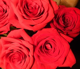 bouquet of beautiful red roses