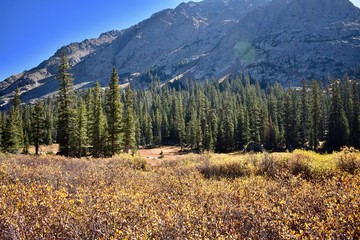 Beautiful alpine meadows and the surrounding Gore Range in the Colorado Rockies.