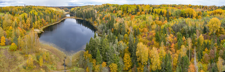 Forest in autumn colors. Colored trees and a meandering blue river. Red, yellow, orange, green deciduous trees in fall. Paganamaa, Estonia, Europe