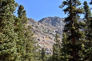 Beautiful alpine meadows and the surrounding Gore Range in the Colorado Rockies.