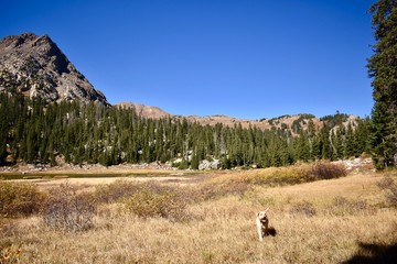 Beautiful alpine meadows and lakes amidst the rugged Gore Range in the Colorado Rockies.