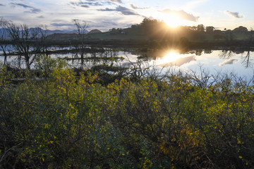 Fototapeta na wymiar Backlight at sunset in the marshes of Santoña, in Cantabria
