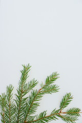 Merry christmas and a happy new year! Greeting card with attributes of the winter holidays on a plain background and free space for an inscription.