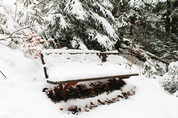 bench snow