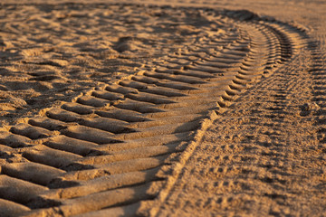 Car tyre prints on wet sea sand during the day, selective focus. Traces of car or tractor tires on the sand of the sea beach.