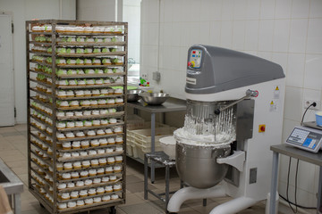 culinary workshop for the production of cakes and pastries