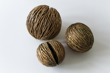 seed on white background