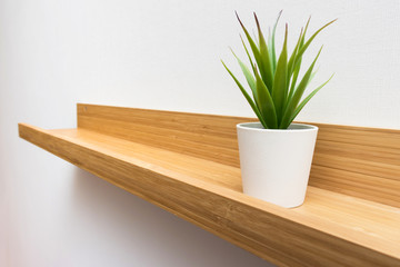 Fragment of scandinavian or american room interior with potted plant on a wooden shelf with copy space, white wall on backdrop
