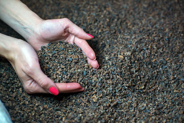 ground cocoa beans in the candy factory