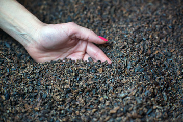 ground cocoa beans in the candy factory