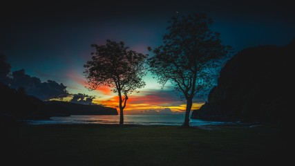 Trees at the shore at sunset, Sumbawa