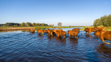 Rzeka Narew, Wieś nad Narwią, Krajobraz wiejski Podlasia © podlaski49
