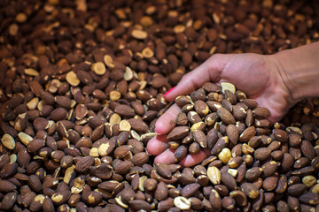 roasted almonds for the filling of chocolates