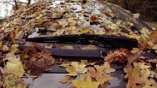 Slow motion shot of fallen autumn leaves on windscreen of a car on park  8