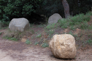 Fototapeta premium Big and natural stones in a green forest.