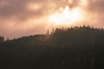 Harz im Herbst