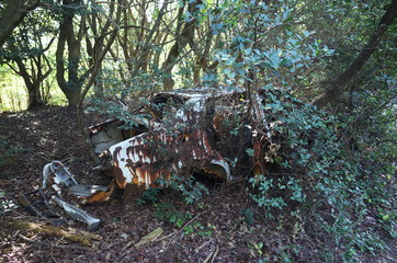 日本の兵庫県赤穂市の山の中の廃車